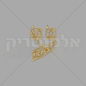 ⁦פנינה זהב - חלול⁩ – תמונה ⁦13⁩