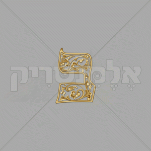 ⁦פנינה זהב - חלול⁩ – תמונה ⁦27⁩