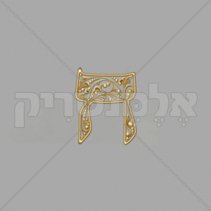 ⁦פנינה זהב - חלול⁩ – תמונה ⁦21⁩