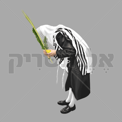 נענועים