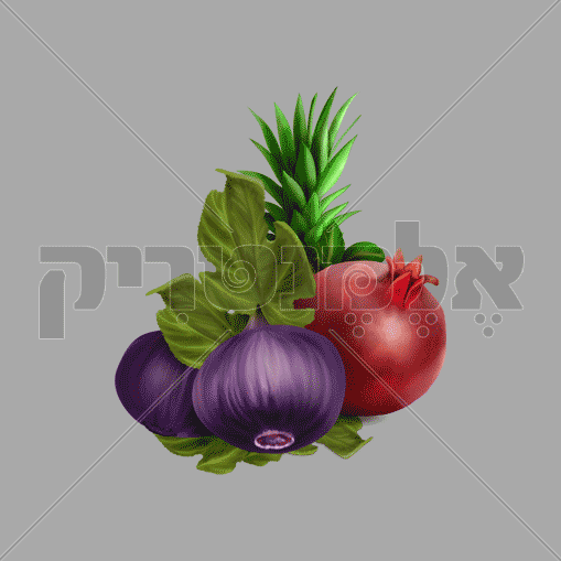 fruits