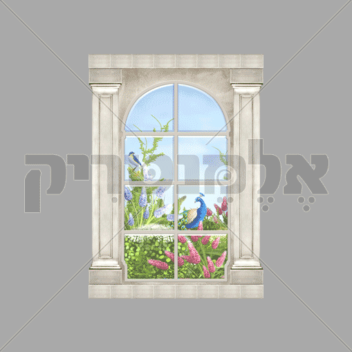 חלון וצמחיה