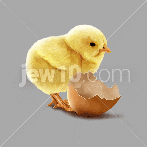 Chick