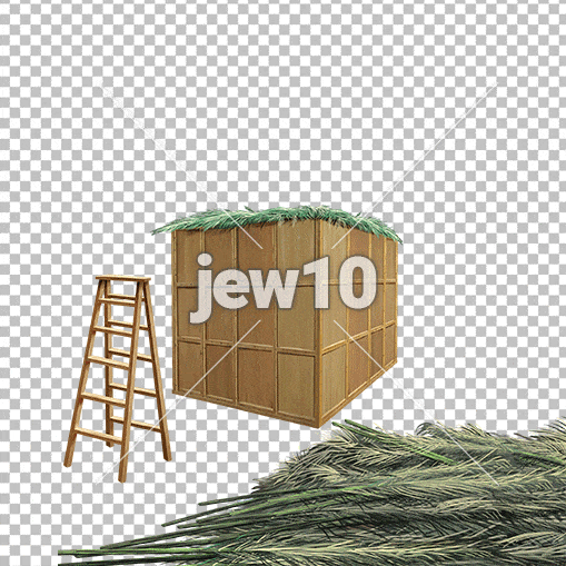 סוכה