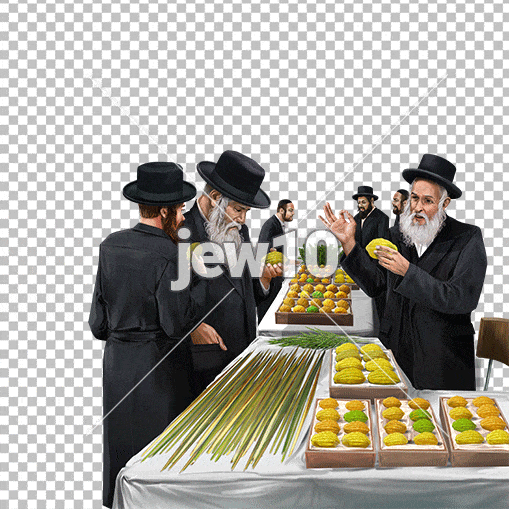 בדיקת אתרוג