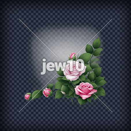 פרחים